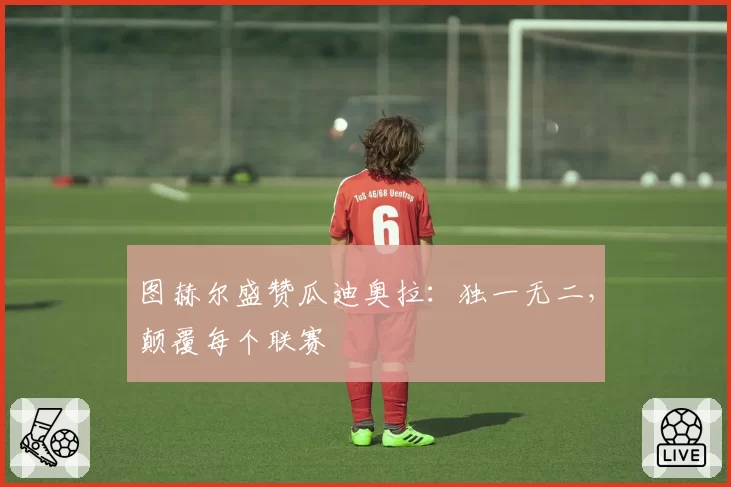 图赫尔盛赞瓜迪奥拉：独一无二，颠覆每个联赛