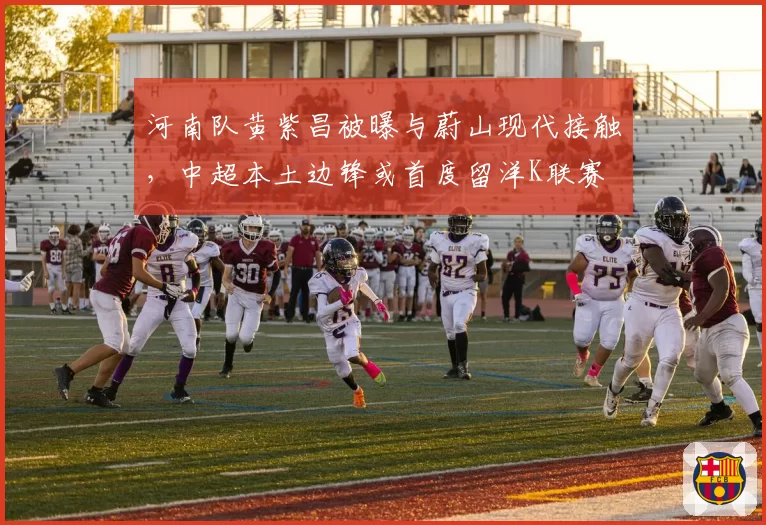 河南队黄紫昌被曝与蔚山现代接触,中超本土边锋或首度留洋K联赛